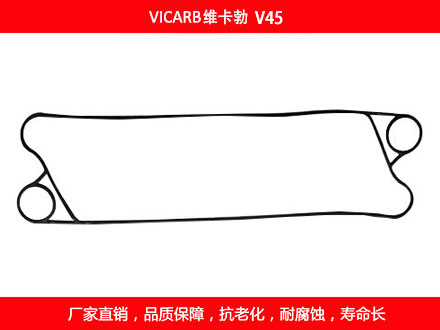 V45 國產板式草莓视频污污污污密封墊片