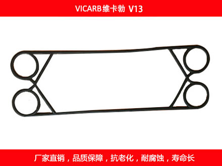 V20 國產板式草莓视频污污污污密封墊片