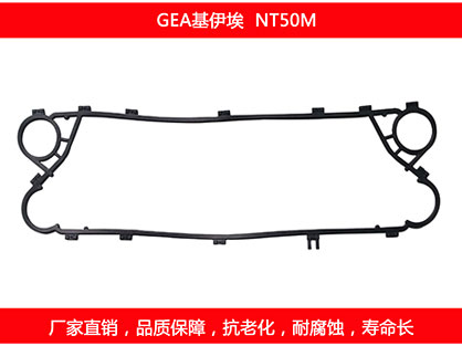 NT50M 國產板式草莓视频污污污污密封墊片