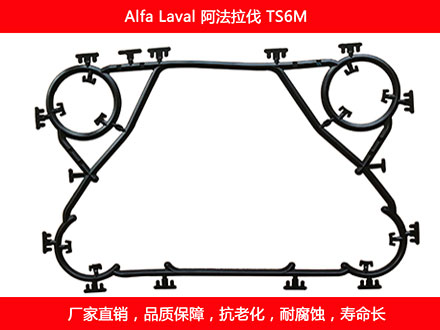 TS6M 國產板式草莓视频污污污污密封墊片