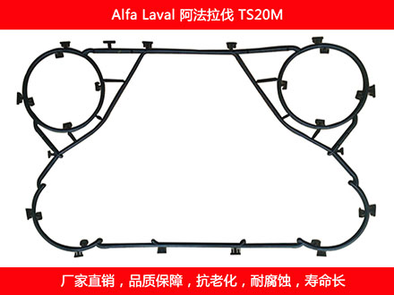 TS20M 國產板式草莓视频污污污污密封墊片
