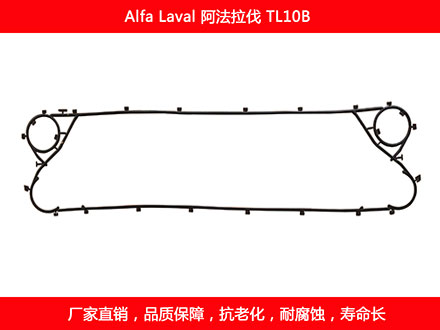 TL10B 國產板式草莓视频污污污污密封墊片