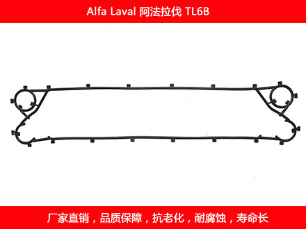 TL6B 國產板式草莓视频污污污污密封墊片