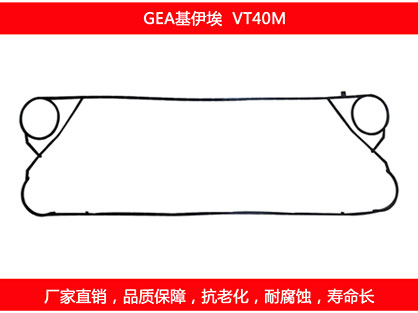 VT40M 國產板式草莓视频污污污污密封墊片