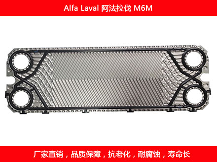M6M 國產板式草莓视频污污污污密封墊片
