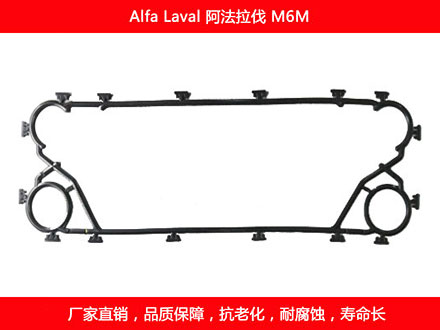 M6M 國產板式草莓视频污污污污密封墊片