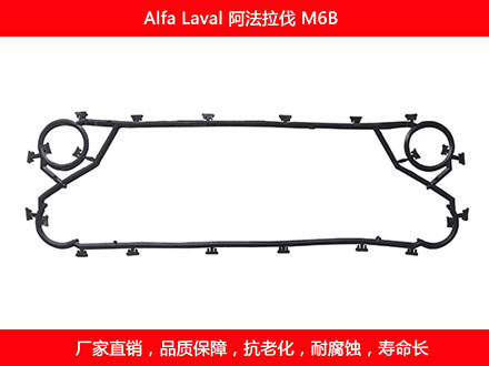 M6B 國產板式草莓视频污污污污密封墊片